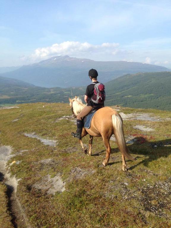 Lapphaugen Turiststasjon * Tennevoll