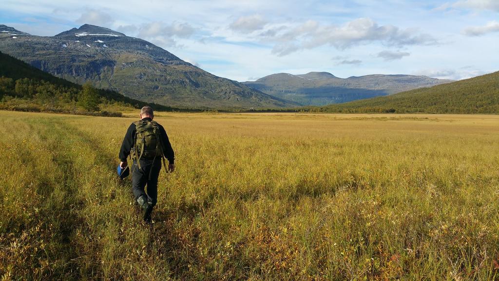 Lodge Lapphaugen Turiststasjon Tennevoll